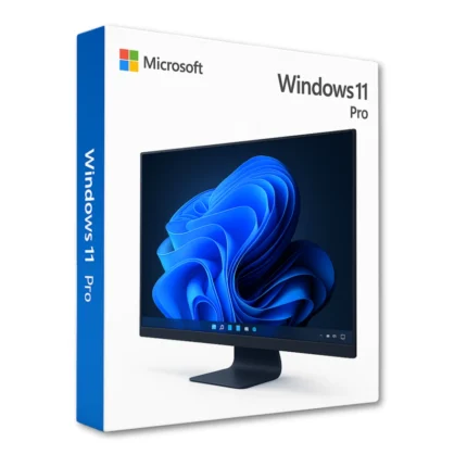 Windows 11 Professional