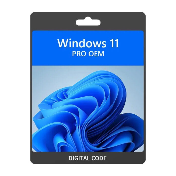 Microsoft Windows 11 Pro OEM - Imagen 1